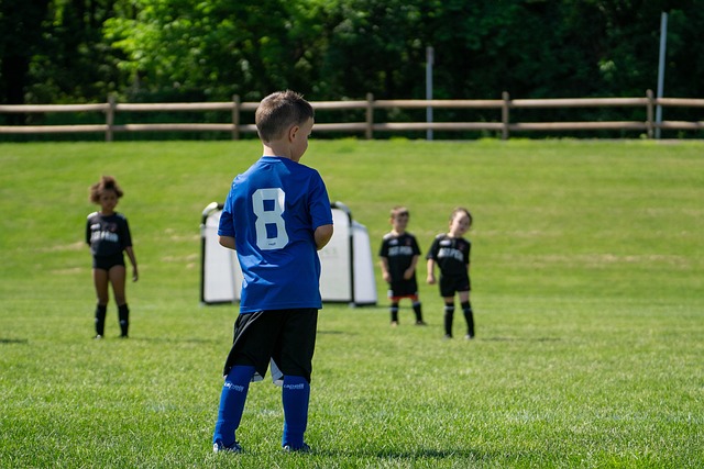 分发挥了主 分发挥了主